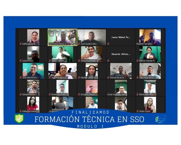 curso de 48 horas para comités de seguridad y salud ocupacional virtual, actualización y elaboración de pgpro, programa de gestión de prevención de riesgos ocupacionales